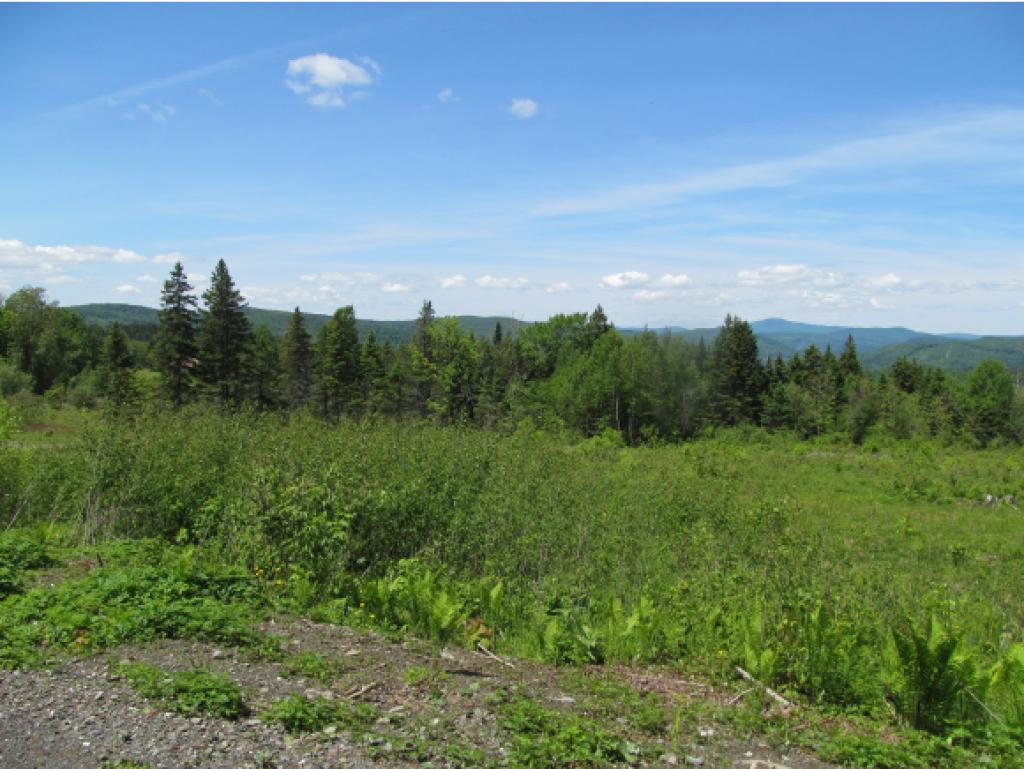 - Noyes Road Stewartstown, NH 03576 - Photo 7 of 13