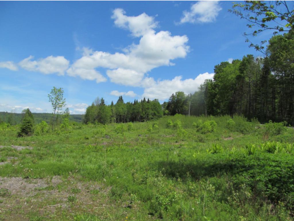 - Noyes Road Stewartstown, NH 03576 - Photo 8 of 13