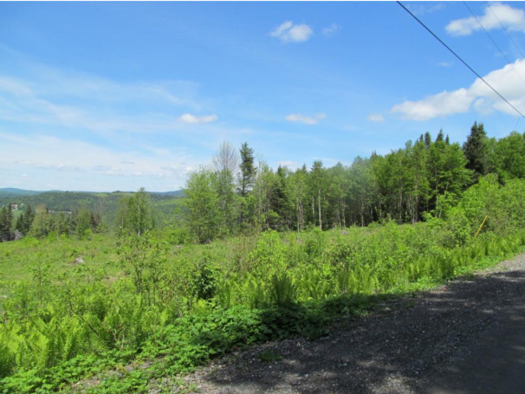 - Noyes Road Stewartstown, NH 03576 - Photo 9 of 13