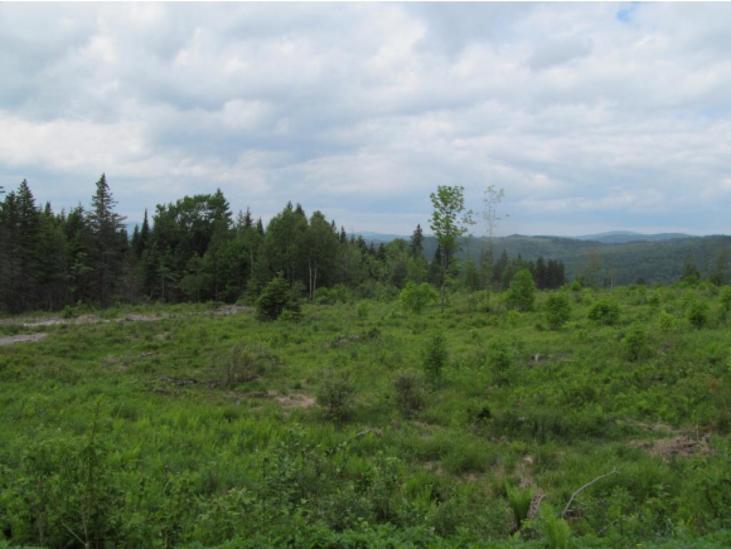 - Noyes Road Stewartstown, NH 03576 - Photo 10 of 13