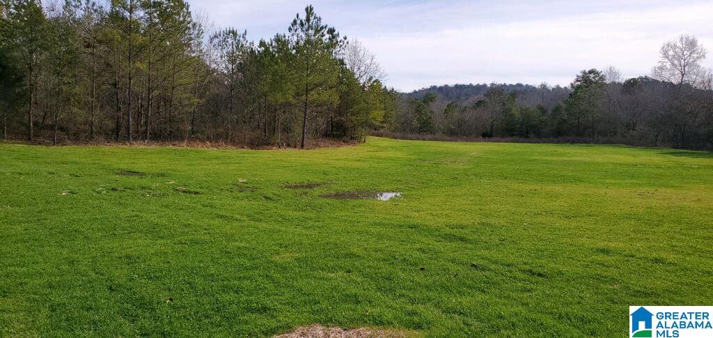 4930 Mt Olive Road Gardendale, AL 35071 - Photo 14 of 14