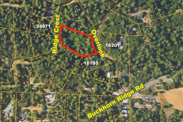 a street sign that is on a tree