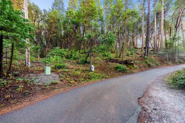 a view of a garden with trees