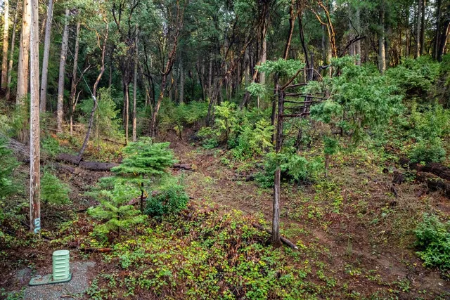 a backyard of a house with lots of green space