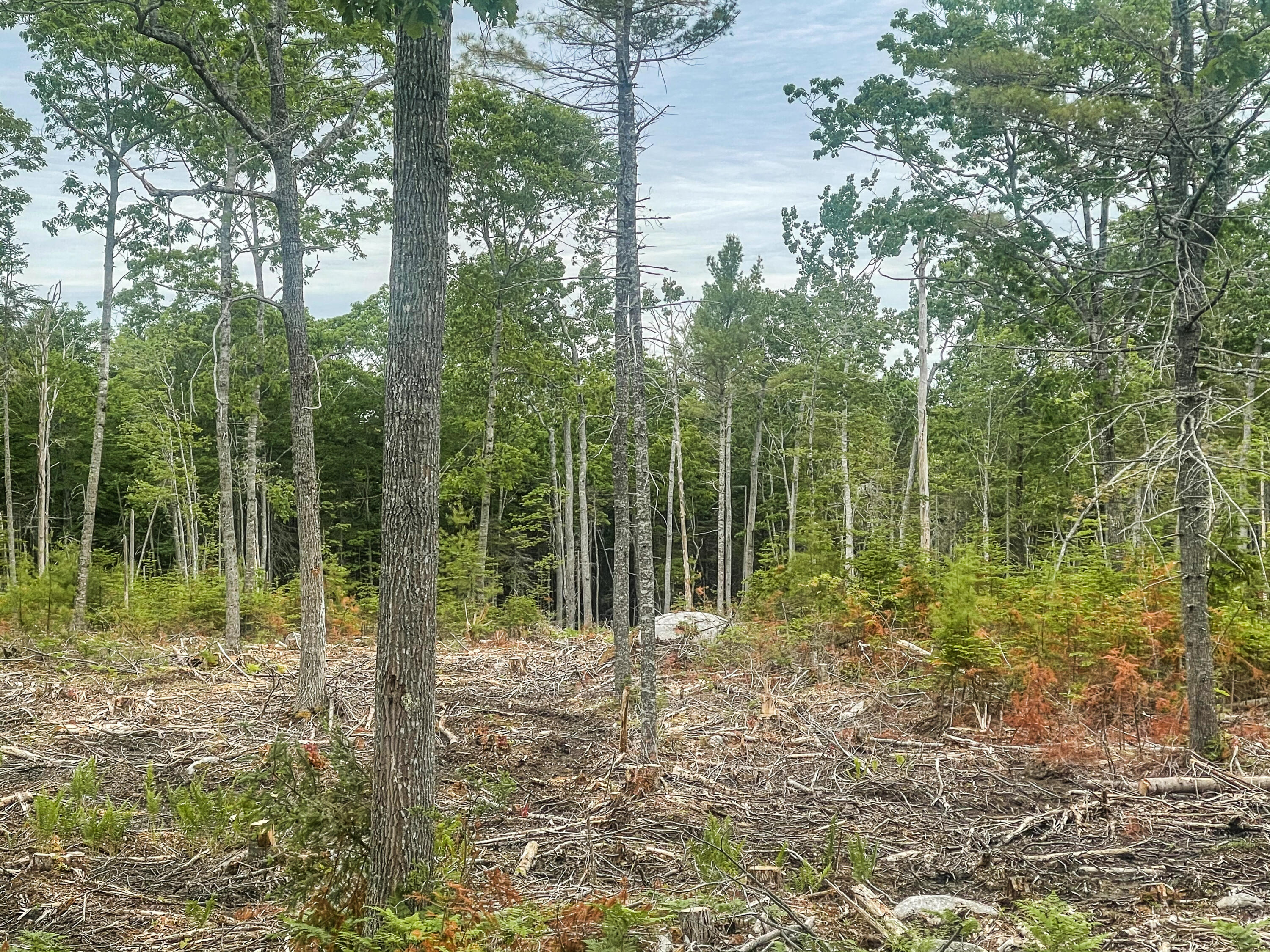 0 Woodland Road Ellsworth, ME 04605 - Photo 4 of 4 JC-2