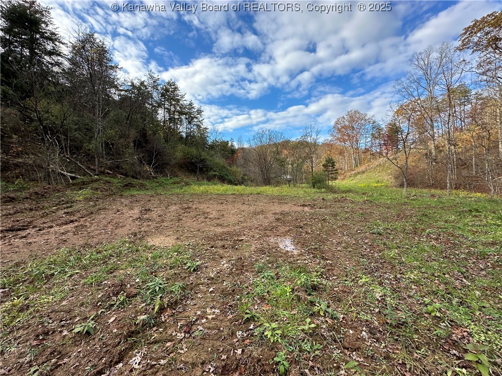 621 3 Mile Road Brohard, WV 26138 - Photo 43 of 48 Gallery Image 43