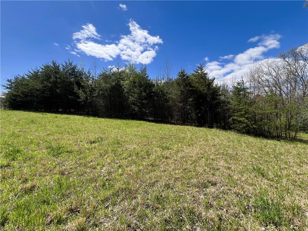9146 Idol Cox Road Colfax, NC 27235 - Photo 11 of 31 Gallery Image 11