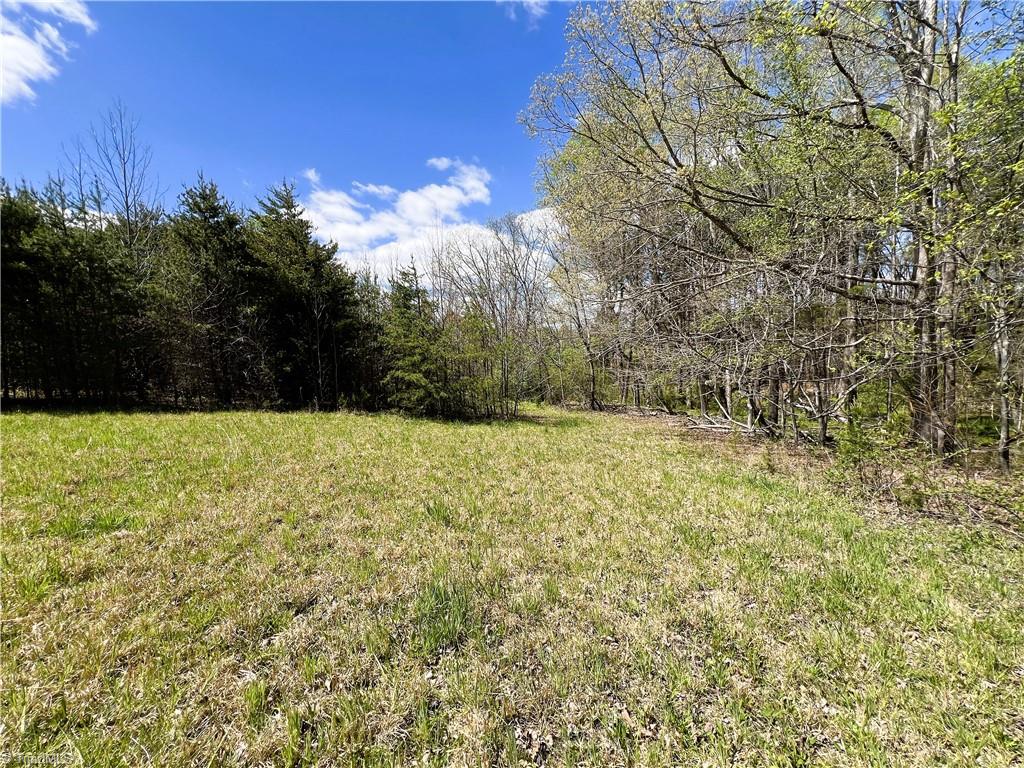 9146 Idol Cox Road Colfax, NC 27235 - Photo 12 of 31 Gallery Image 12
