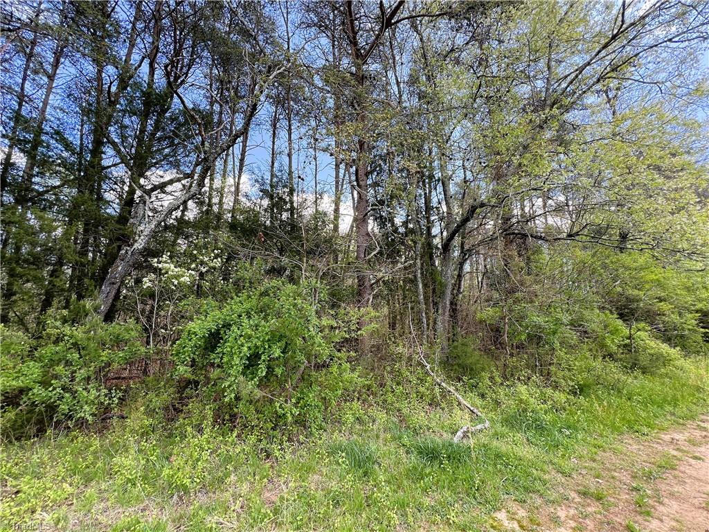 9146 Idol Cox Road Colfax, NC 27235 - Photo 28 of 31 Gallery Image 28
