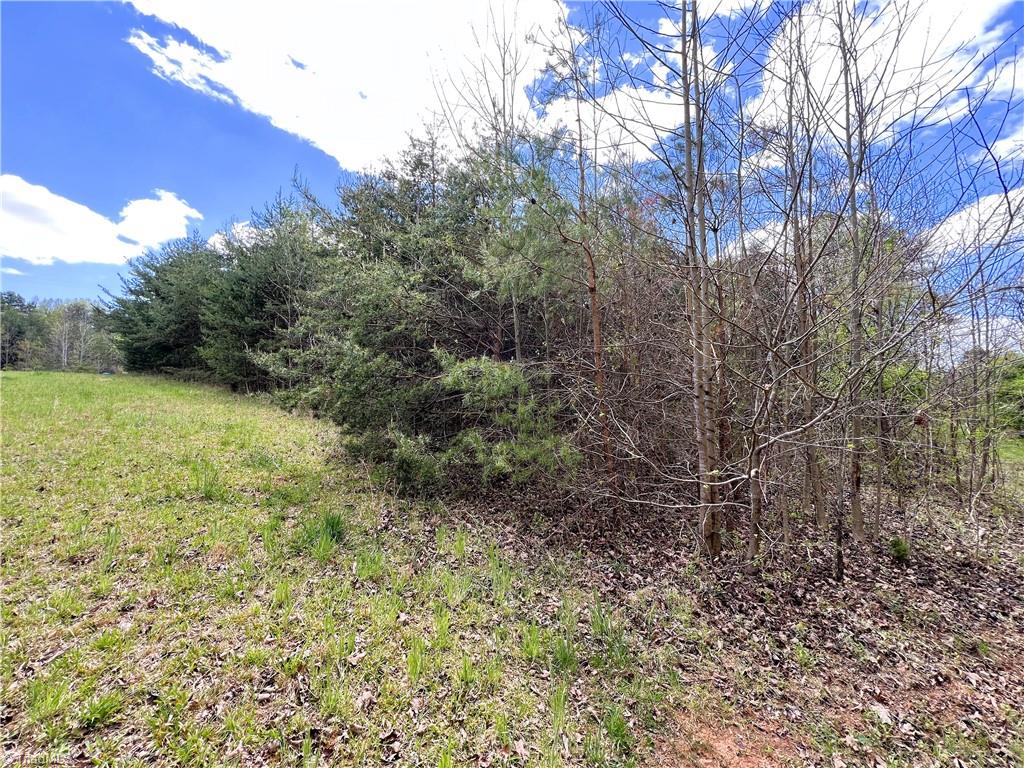 9146 Idol Cox Road Colfax, NC 27235 - Photo 31 of 31 Gallery Image 31