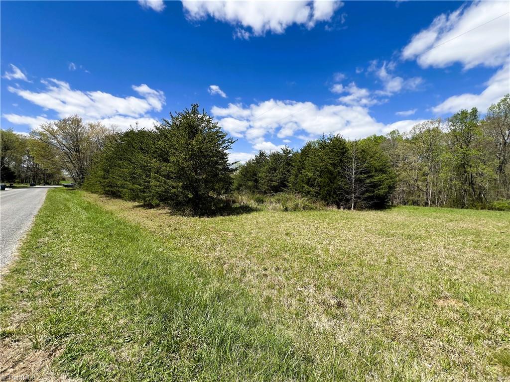 9146 Idol Cox Road Colfax, NC 27235 - Photo 4 of 31 Gallery Image 4