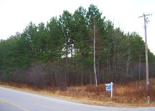 Primary Photo