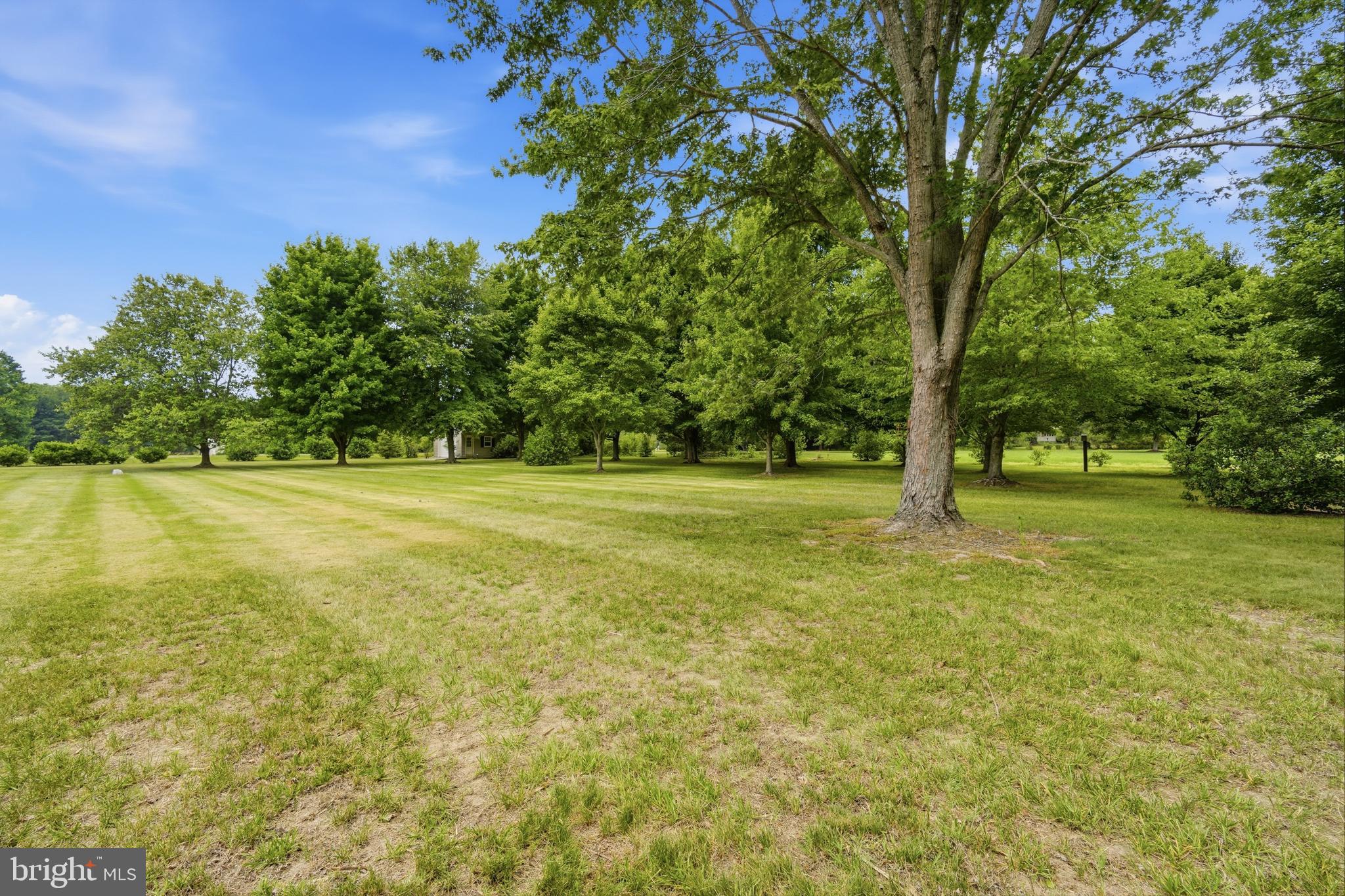 30050 Beaver Dam Road Trappe, MD 21673 - Photo 5 of 41