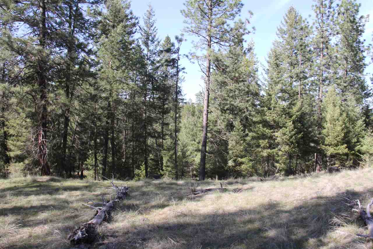 1-xxx East Chattaroy Road Colbert, WA 99005 - Photo 2 of 20
