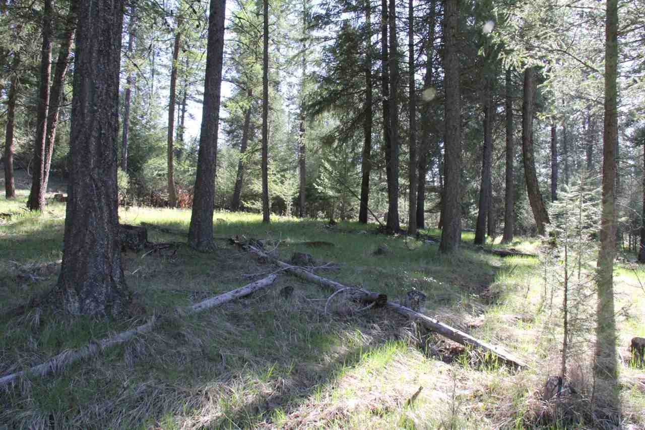 1-xxx East Chattaroy Road Colbert, WA 99005 - Photo 11 of 20