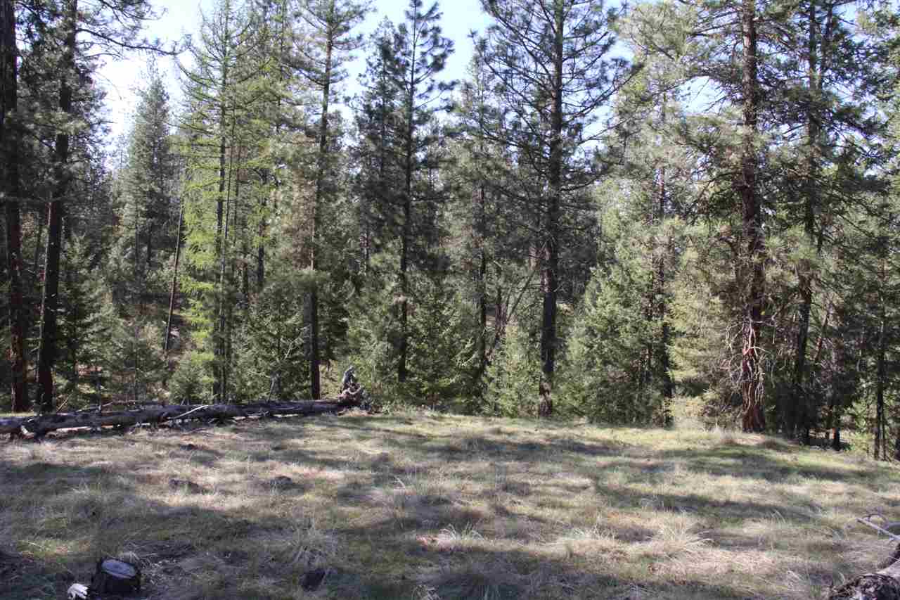 1-xxx East Chattaroy Road Colbert, WA 99005 - Photo 12 of 20