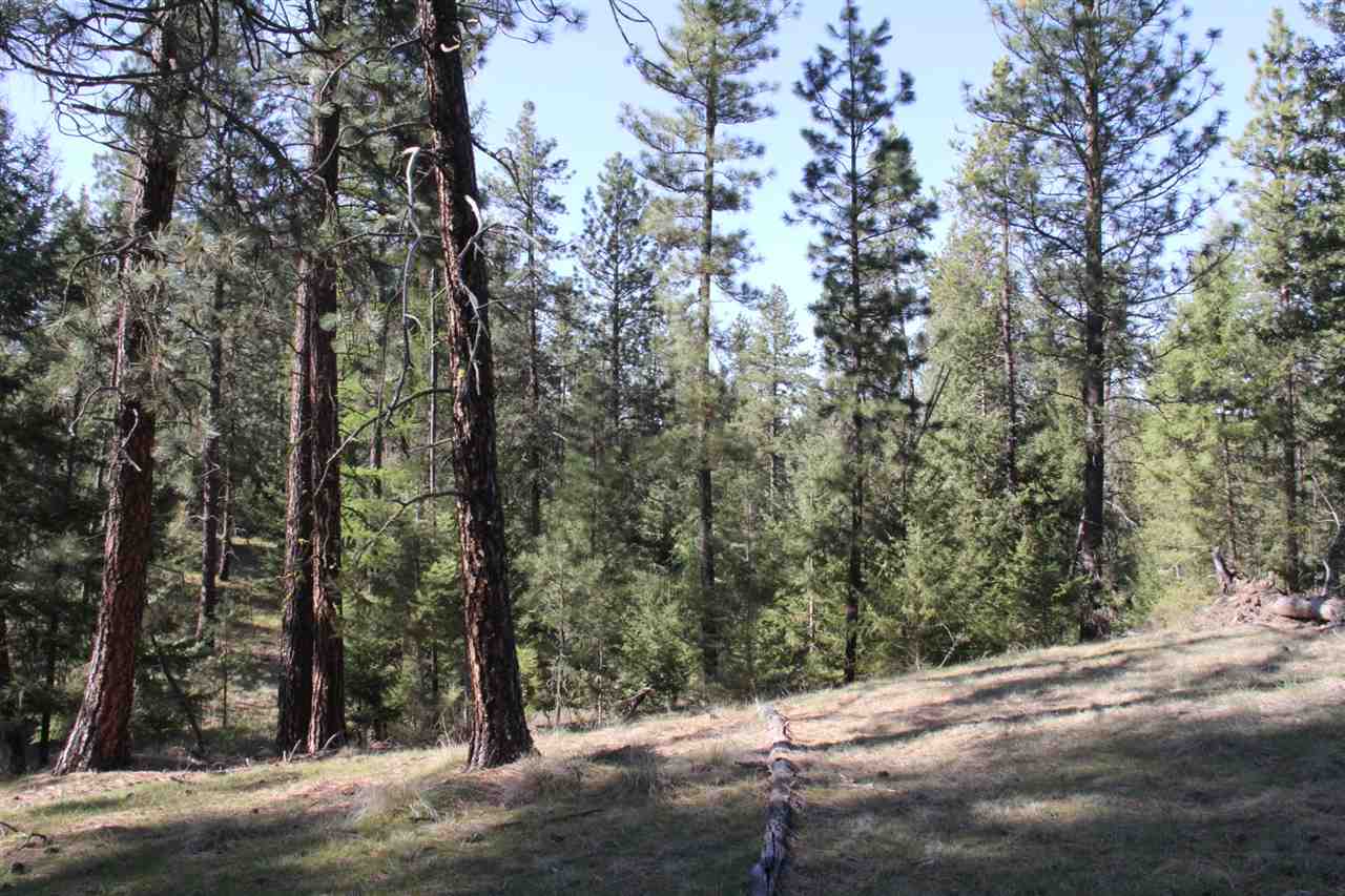 1-xxx East Chattaroy Road Colbert, WA 99005 - Photo 14 of 20