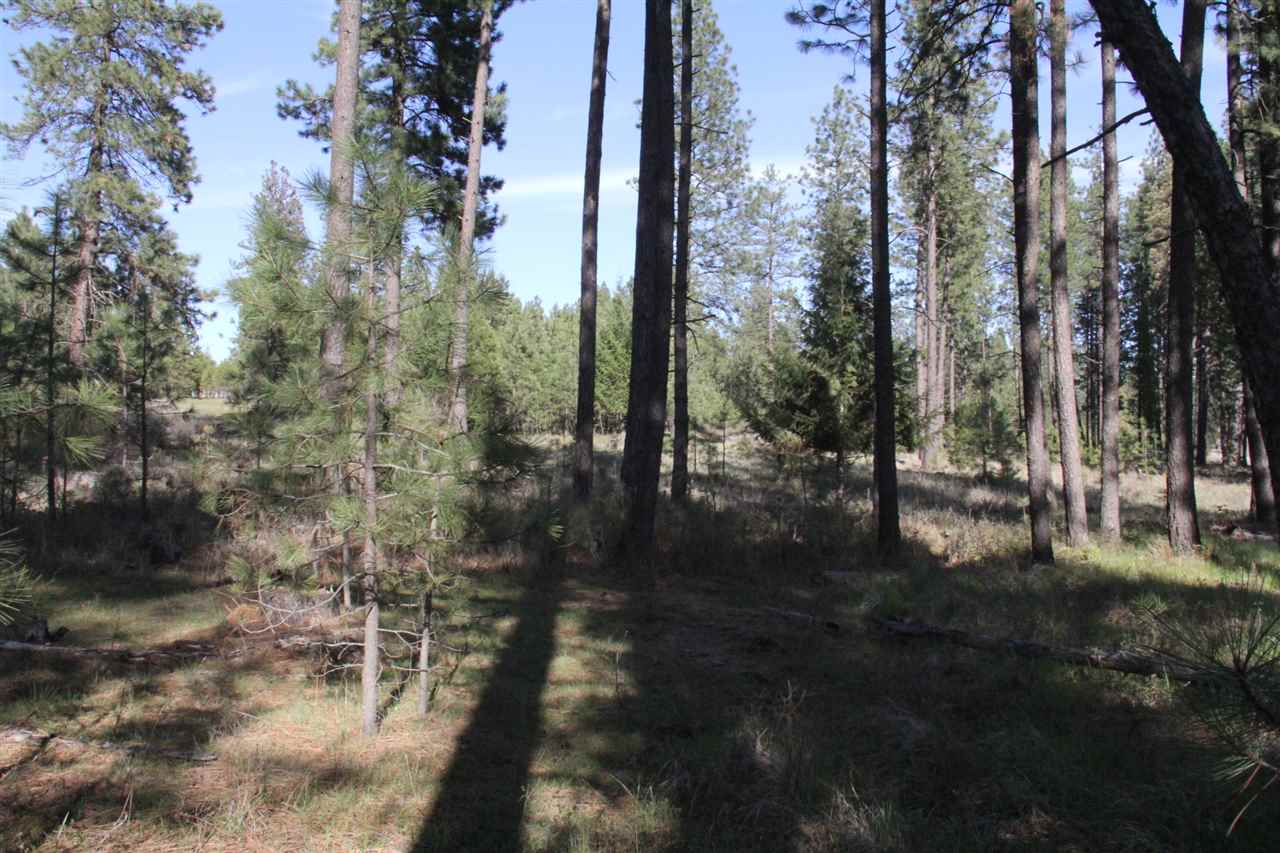 1-xxx East Chattaroy Road Colbert, WA 99005 - Photo 16 of 20