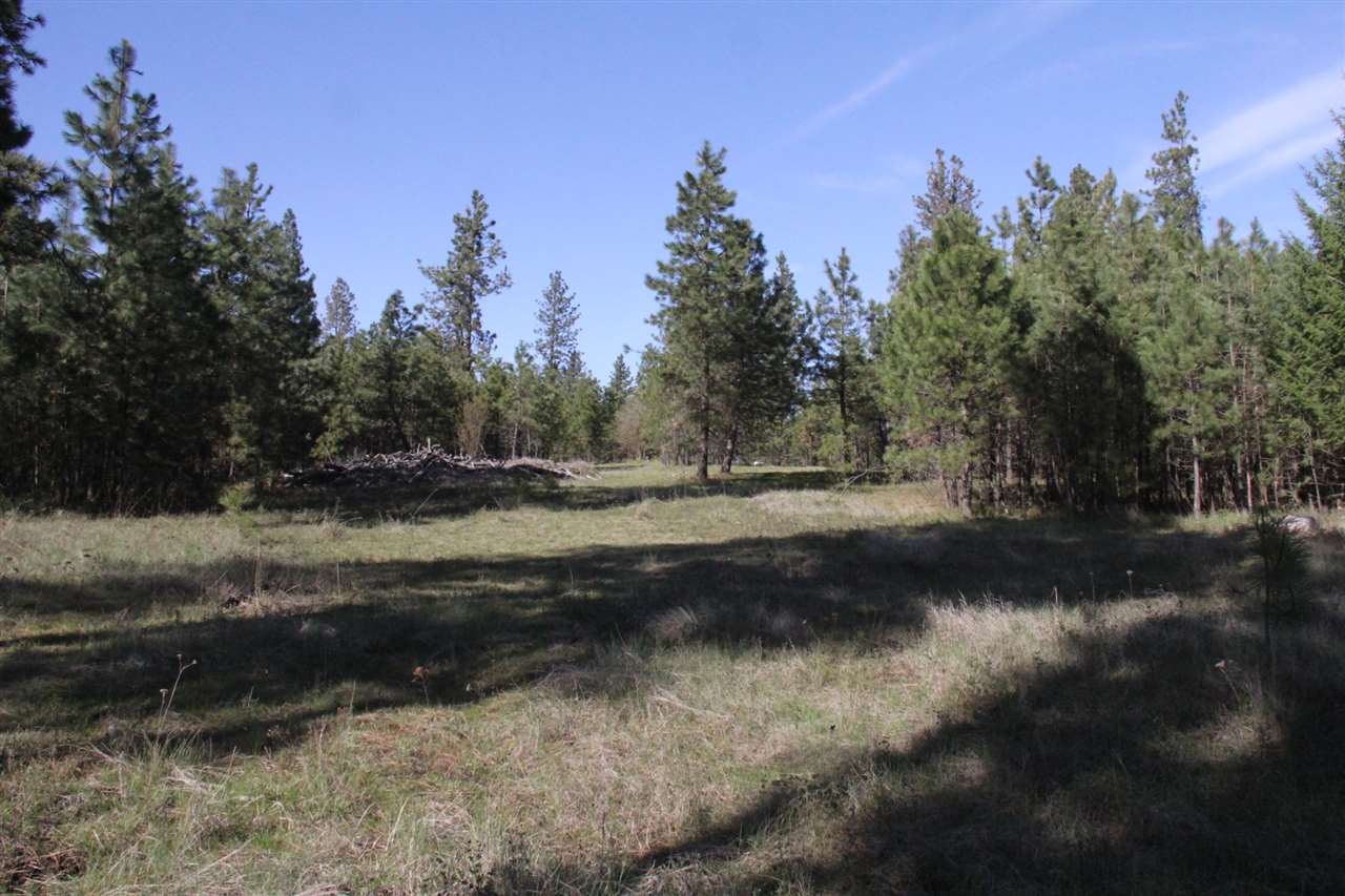1-xxx East Chattaroy Road Colbert, WA 99005 - Photo 18 of 20