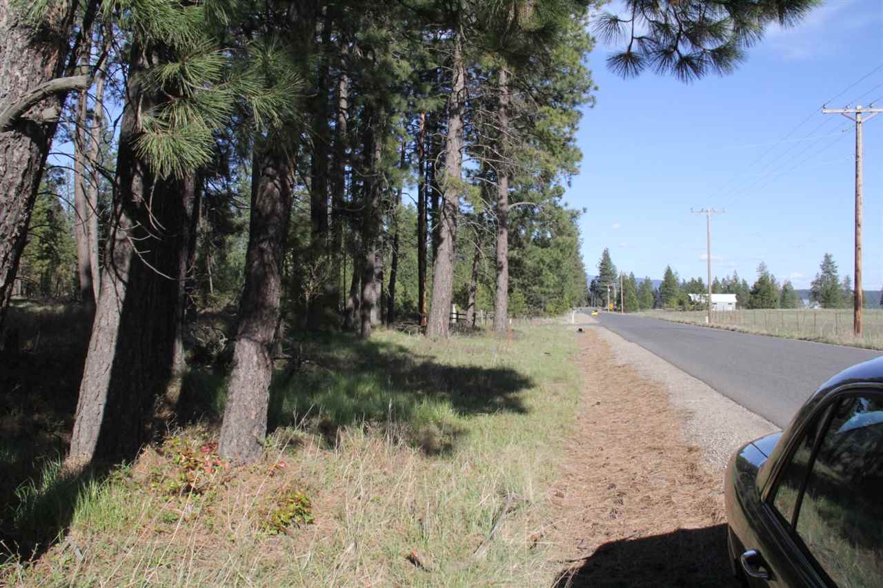 1-xxx East Chattaroy Road Colbert, WA 99005 - Photo 19 of 20