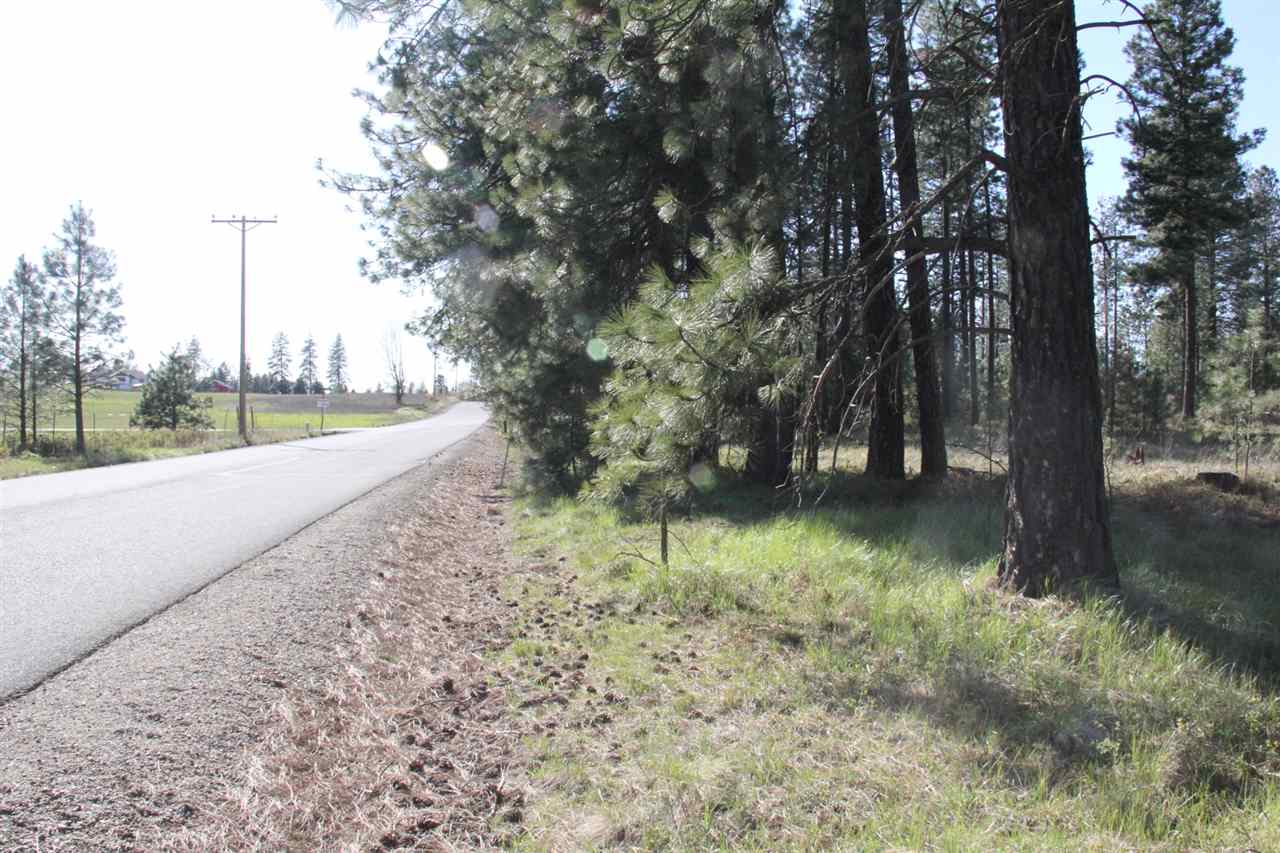 1-xxx East Chattaroy Road Colbert, WA 99005 - Photo 20 of 20