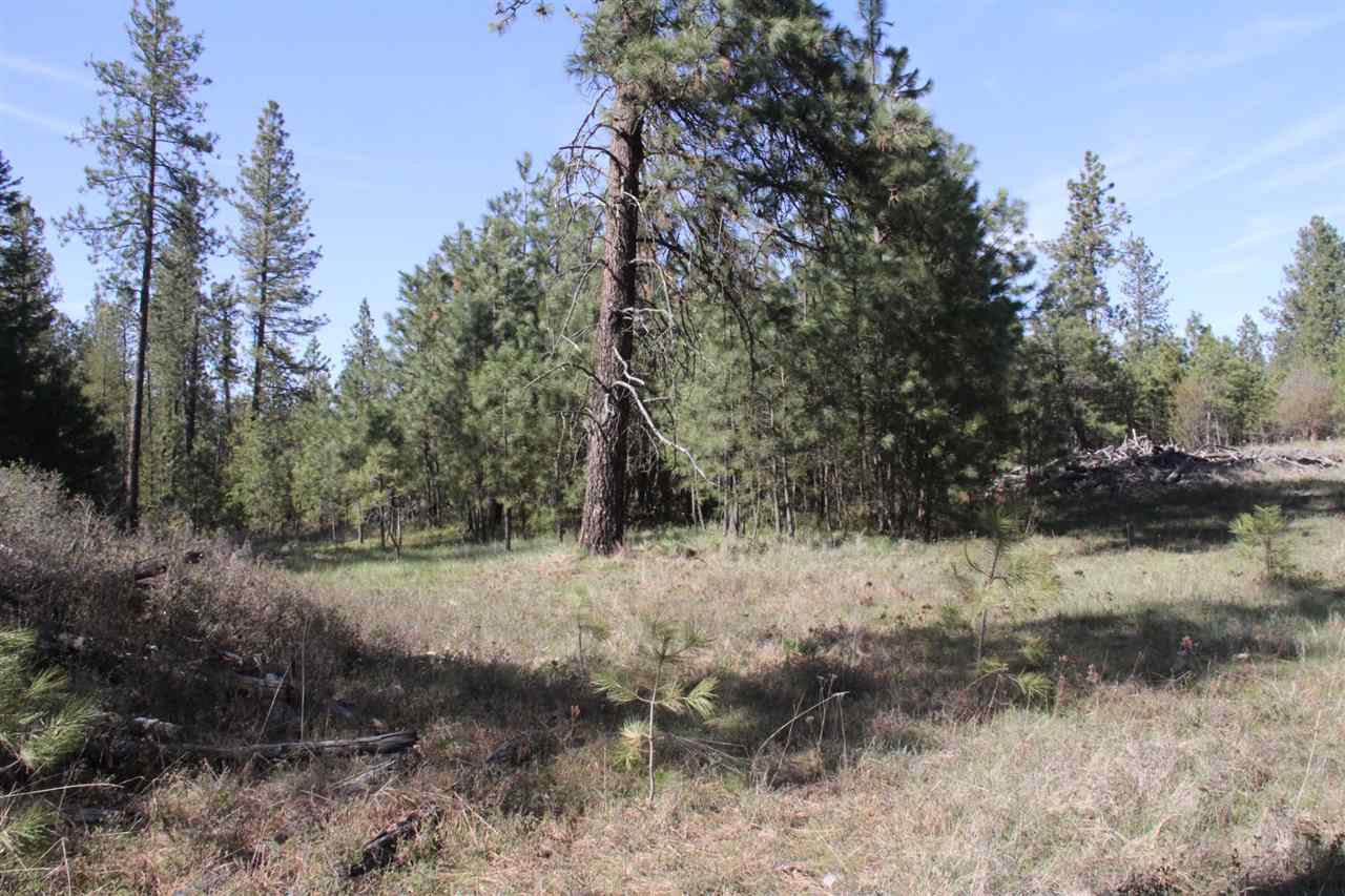 1-xxx East Chattaroy Road Colbert, WA 99005 - Photo 3 of 20