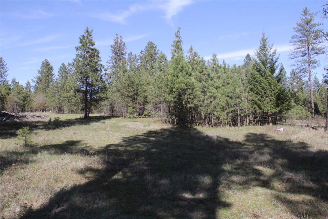 1-xxx East Chattaroy Road Colbert, WA 99005 - Photo 4 of 20