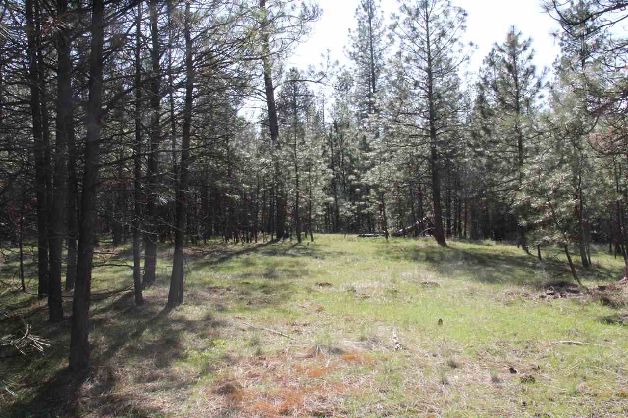 1-xxx East Chattaroy Road Colbert, WA 99005 - Photo 5 of 20