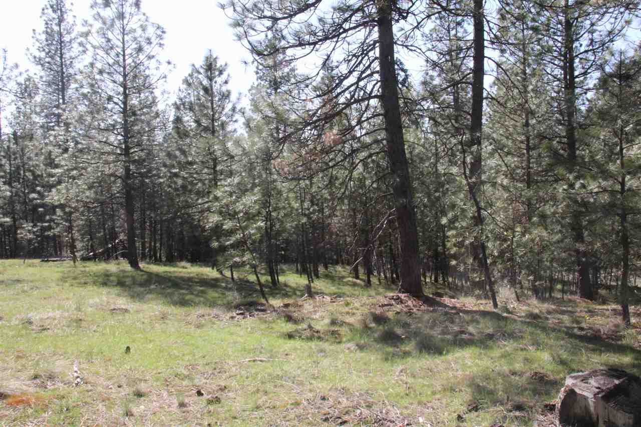 1-xxx East Chattaroy Road Colbert, WA 99005 - Photo 6 of 20