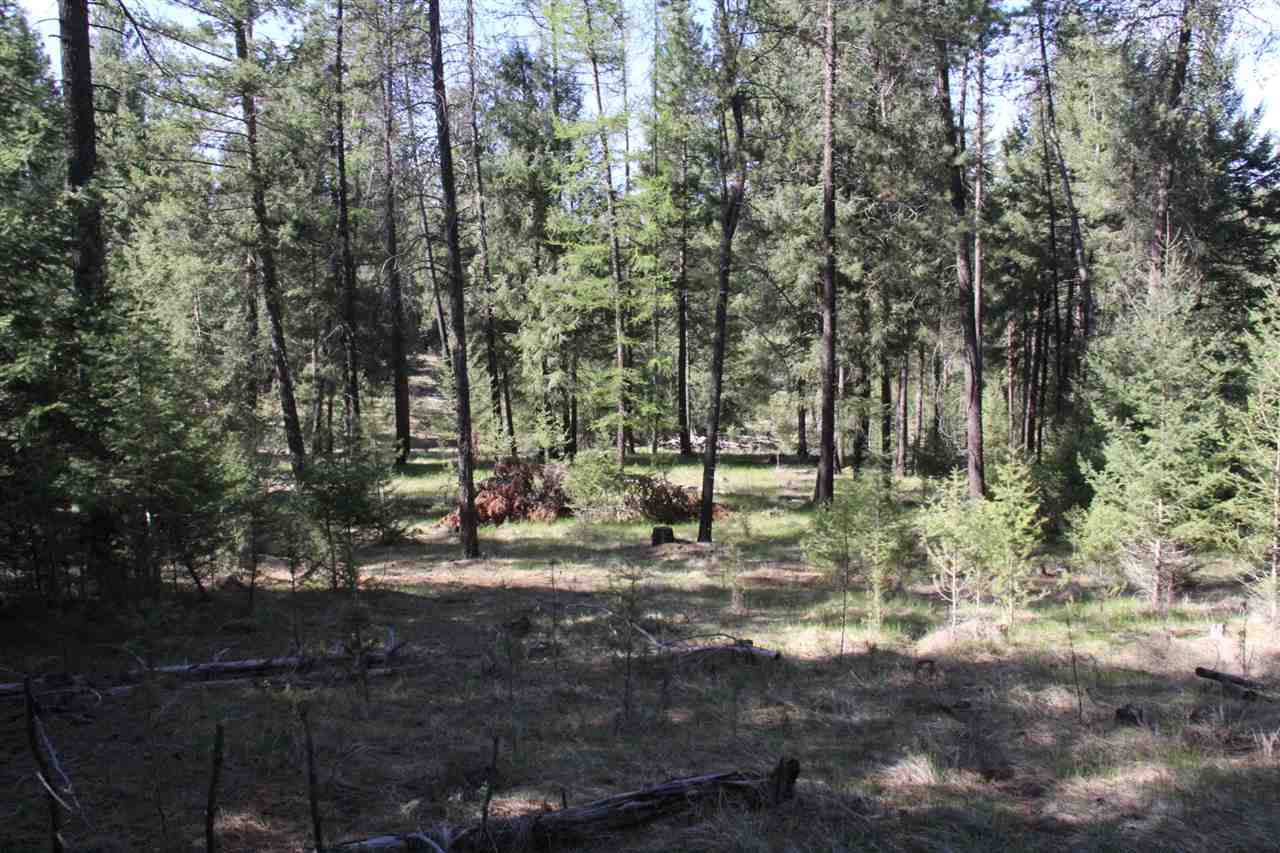 1-xxx East Chattaroy Road Colbert, WA 99005 - Photo 7 of 20