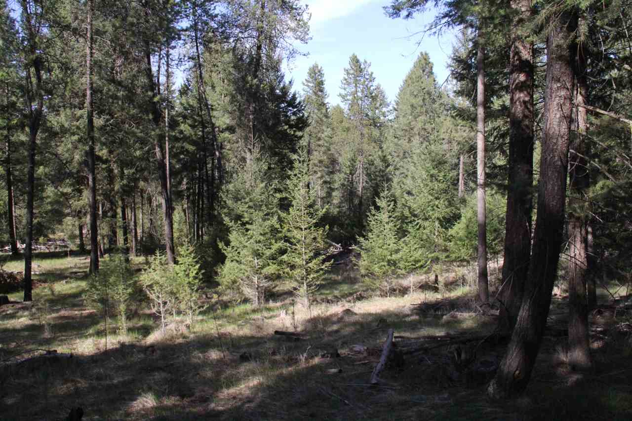 1-xxx East Chattaroy Road Colbert, WA 99005 - Photo 8 of 20