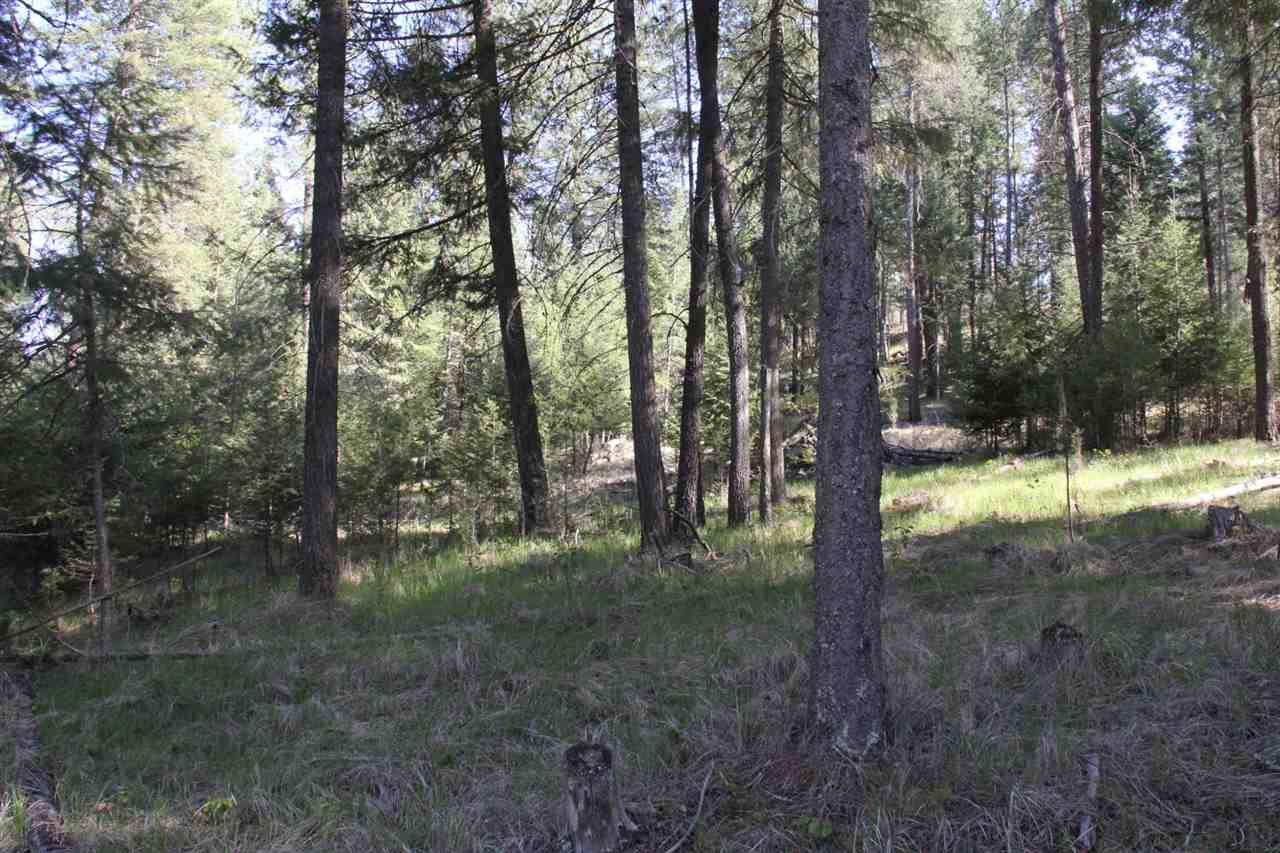 1-xxx East Chattaroy Road Colbert, WA 99005 - Photo 9 of 20