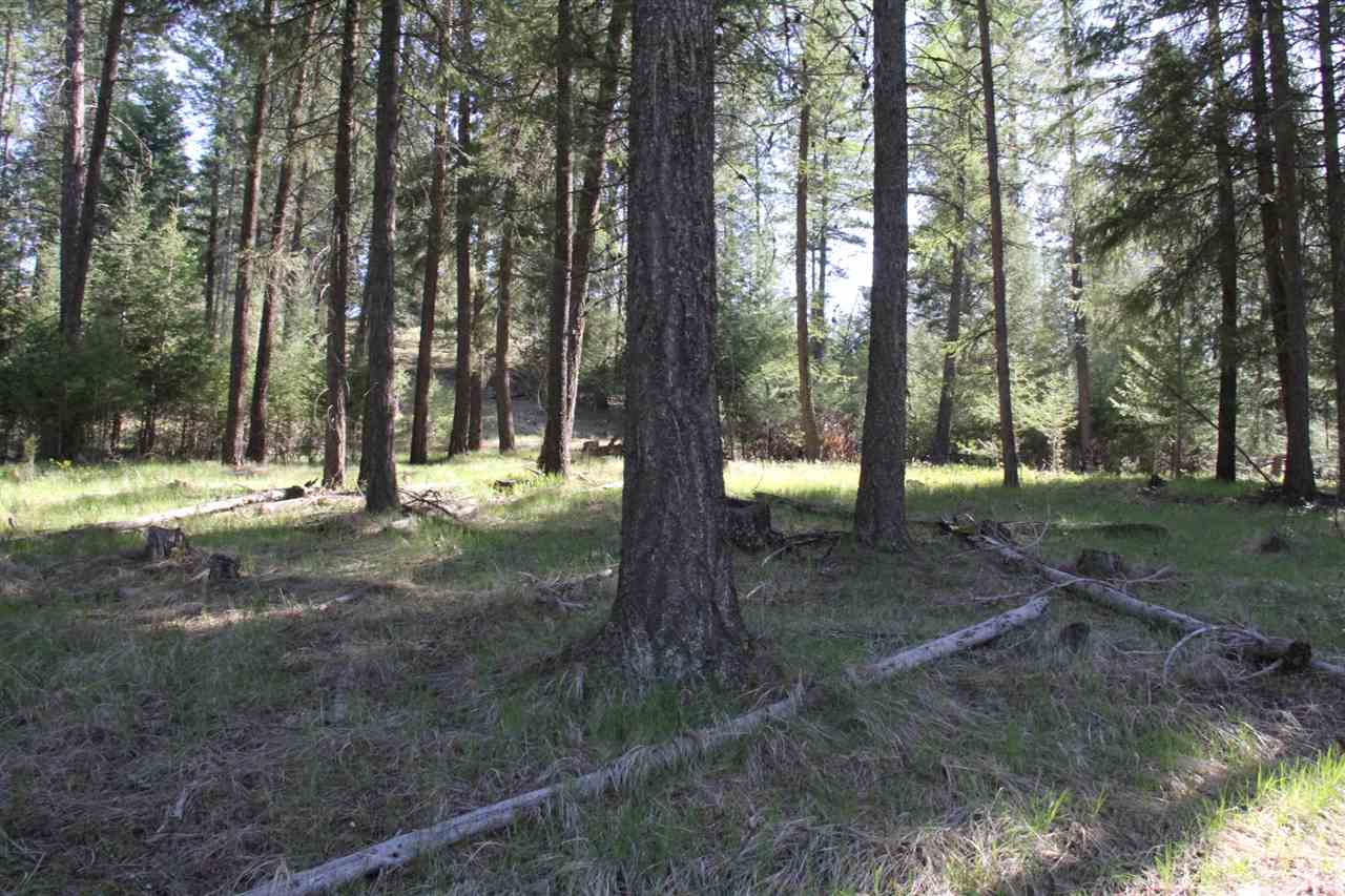 1-xxx East Chattaroy Road Colbert, WA 99005 - Photo 10 of 20