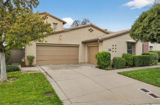 a view of a potted plants in back of a room