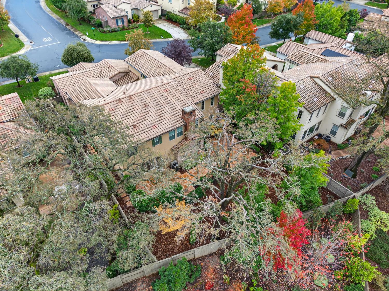 2050 Impressionist Way El Dorado Hills, CA 95762 - Photo 76 of 83