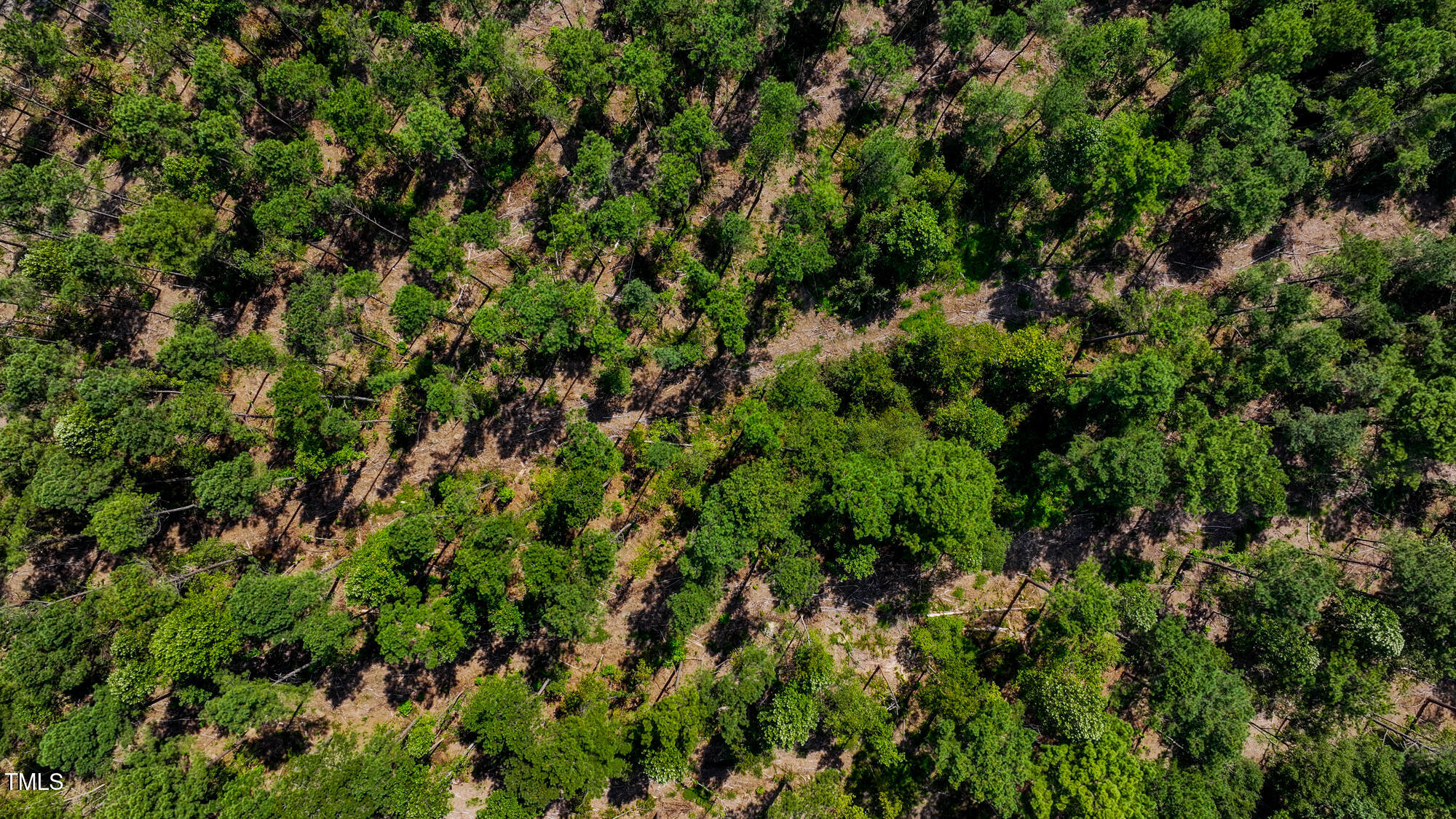4344 Yank Road Wilson, NC 27893 - Photo 3 of 26 DJI_20250906234824_0071_D