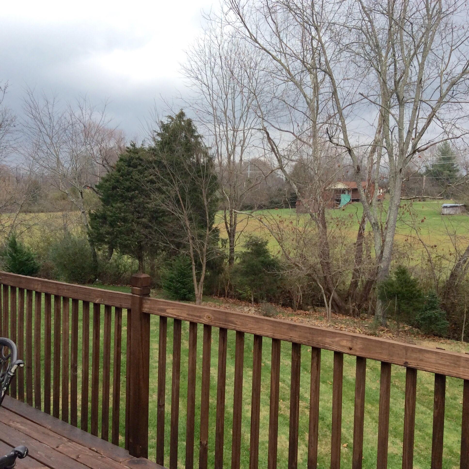 7524 Wilderness Path Road Corryton, TN 37721 - Photo 14 of 16 image