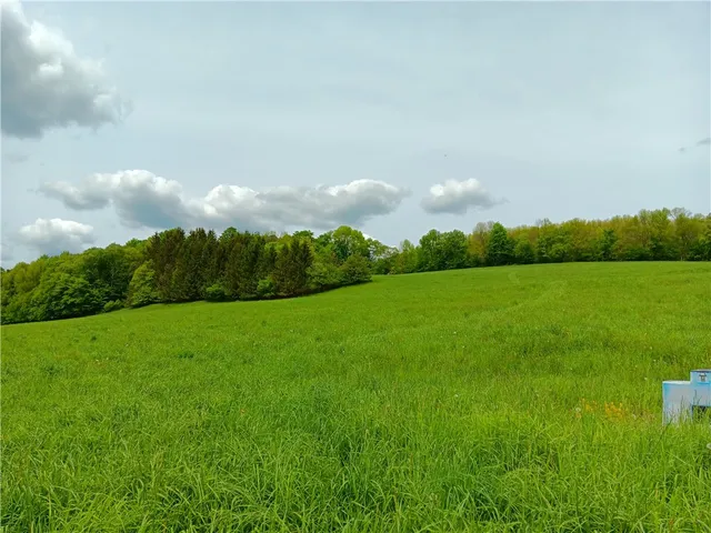 $360,000 | John Rice Road, Bloomville, NY 13739