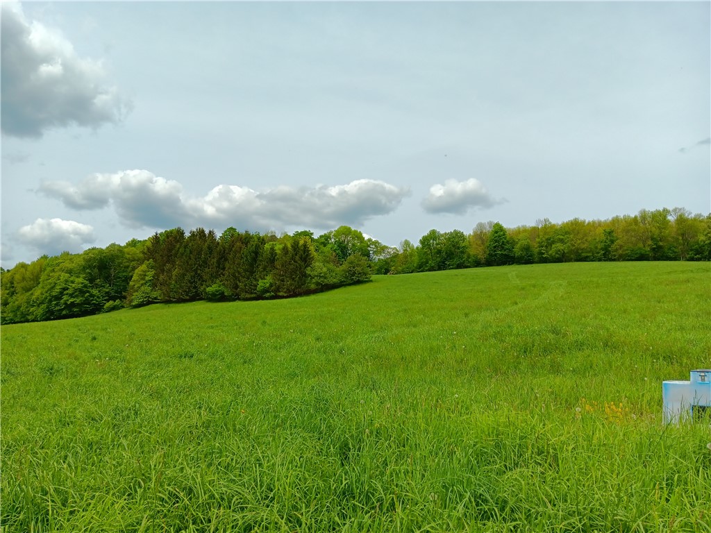 John Rice Road Bloomville, NY 13739 - Photo 4 of 10