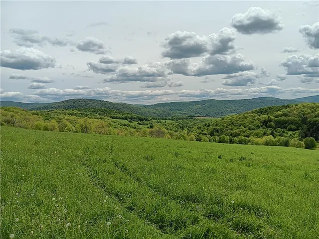 $360,000 | John Rice Road, Bloomville, NY 13739