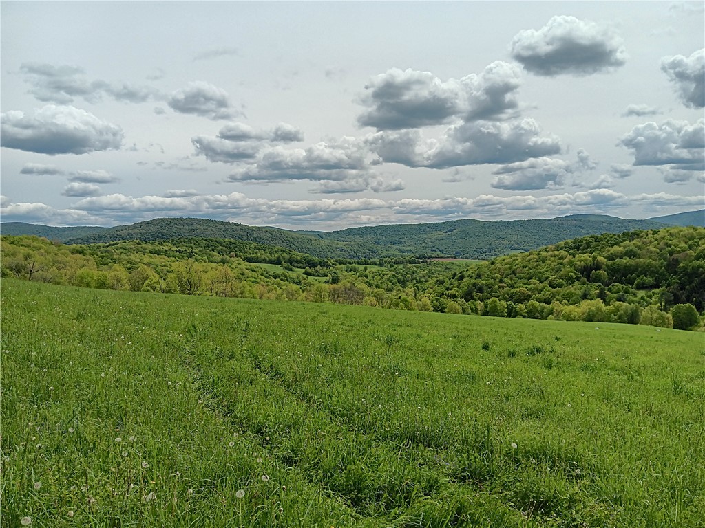 John Rice Road Bloomville, NY 13739 - Photo 6 of 10