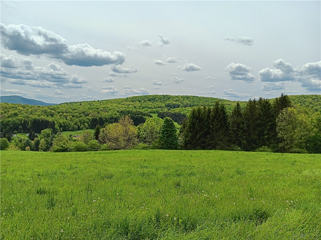 John Rice Road Bloomville, NY 13739 - Photo 7 of 10