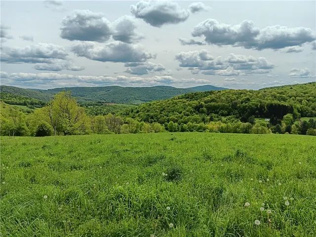 $360,000 | John Rice Road, Bloomville, NY 13739