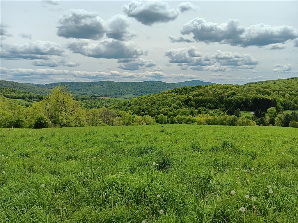 John Rice Road Bloomville, NY 13739 - Photo 8 of 10