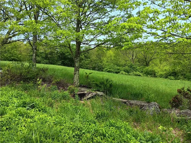 $360,000 | John Rice Road, Bloomville, NY 13739