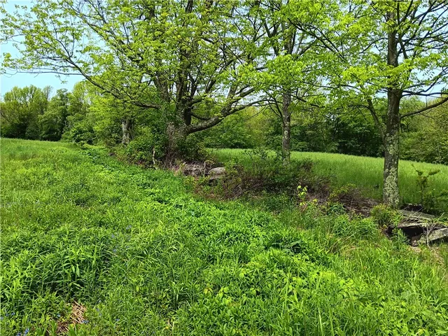 $360,000 | John Rice Road, Bloomville, NY 13739