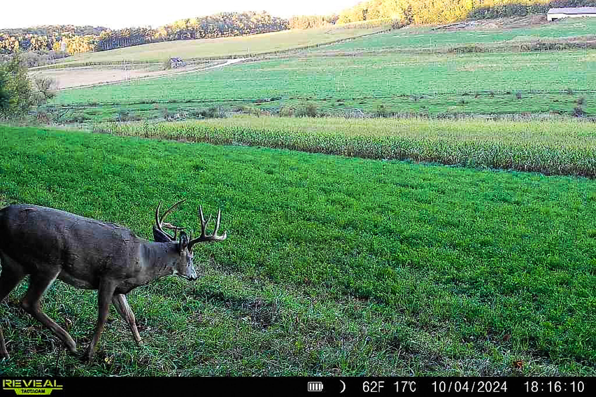 Lt2 Eli Valley Road Hillpoint, WI 53937 - Photo 3 of 47 Sauk-County-WI-53-Acres-Land-For-Sale-3
