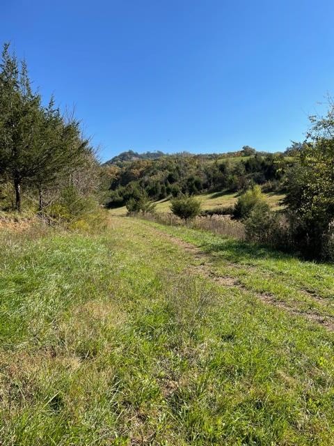 0 McCarter Hollow Road Sevierville, TN 37862 - Photo 10 of 17