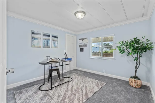 a view of a workspace with furniture and a potted plant