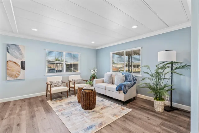 a living room with furniture potted plant and a window